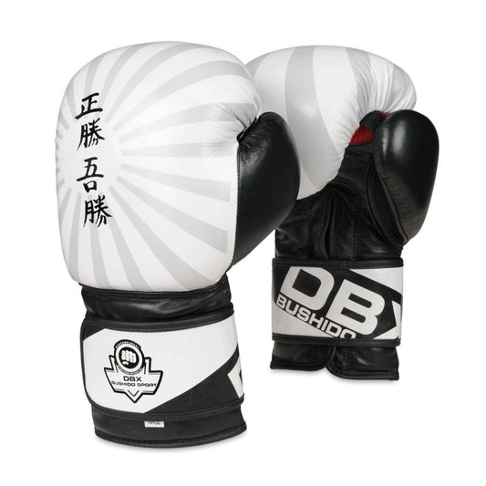 10oz Boxing Gloves - Japan - Valor Series rękawice treningowe Your Sports Performance