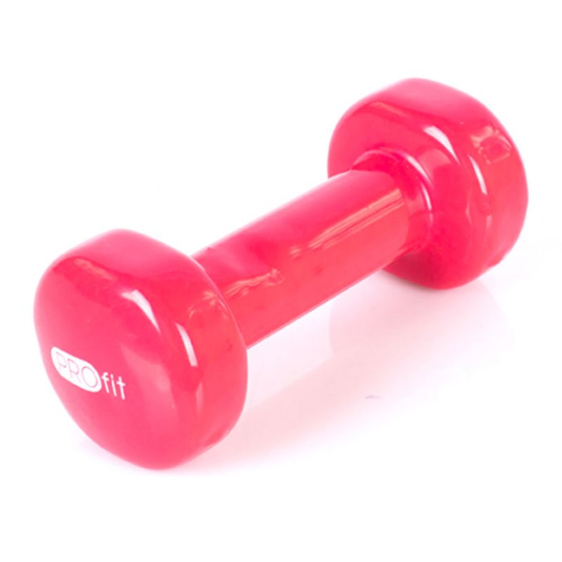 Vinyl dumbbell PROfit 0.5kg DK 4102