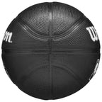 Wilson Team Tribute Toronto Raptors Mini Ball WZ4017608XB basketball Accessories/Balls/Basketball Your Sports Performance