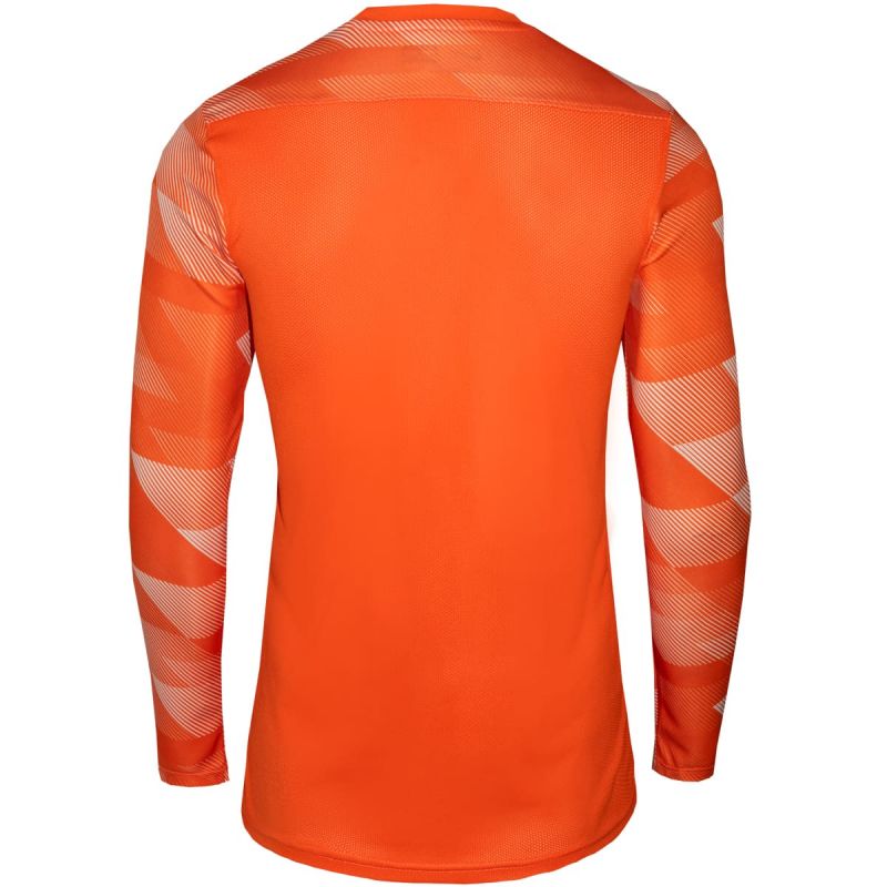 T-shirt Nike Dry Park IV JSY LS GK Jr CJ6072-819 Clothing/Football Nike