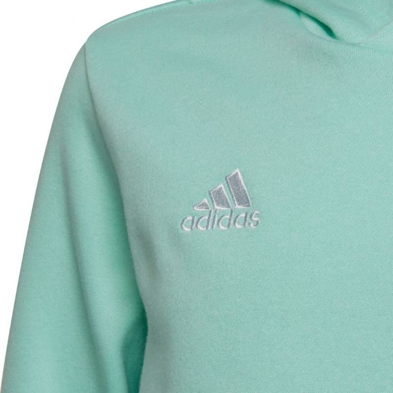 Adidas Entrada 22 Hoody JR HC5066 sweatshirt Clothing/Training Adidas