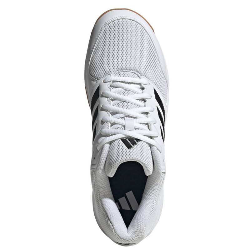 Adidas Speedcourt M IE8032 volleyball shoes Footwear/Volleyball/Men Adidas
