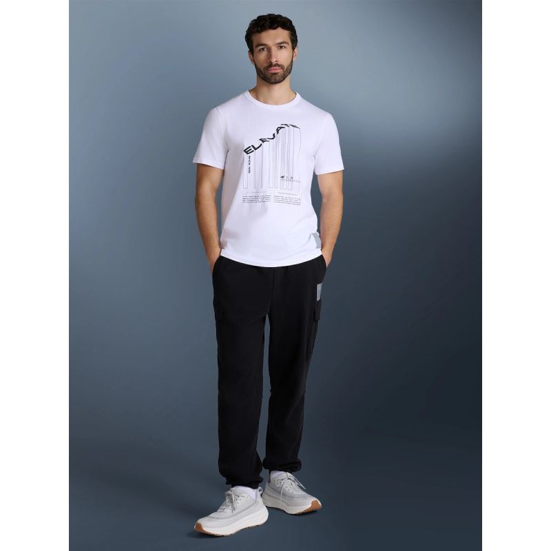 Men's regular printed T-shirt 4F 4FRAW25TTSHM3845-10S 4f