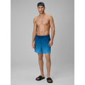 Men's boardshorts 4F 4FWSS26UBDSM168-46S 4f