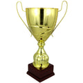 Triumph Cup To be categorized Your Sports Performance