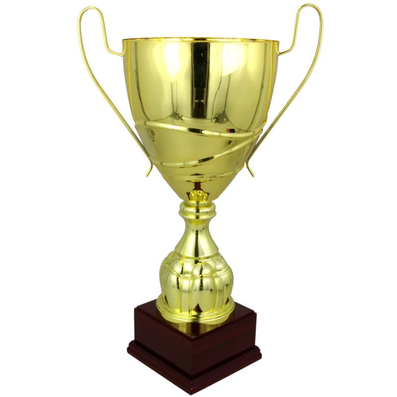 Triumph Cup To be categorized Your Sports Performance