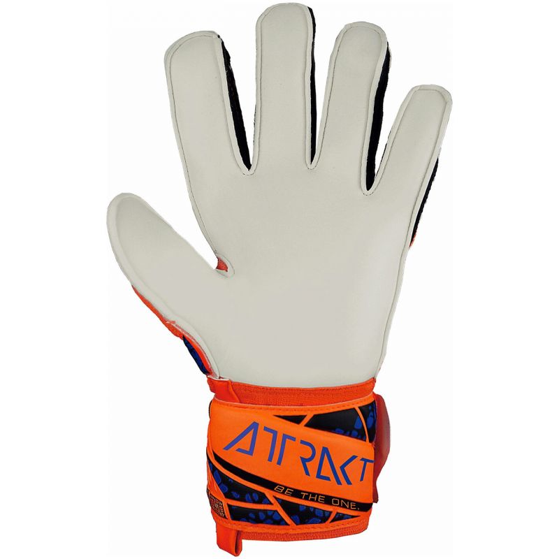Reusch Attrakt Solid M 5470515 2210 goalkeeper gloves Accessories/Gloves Your Sports Performance