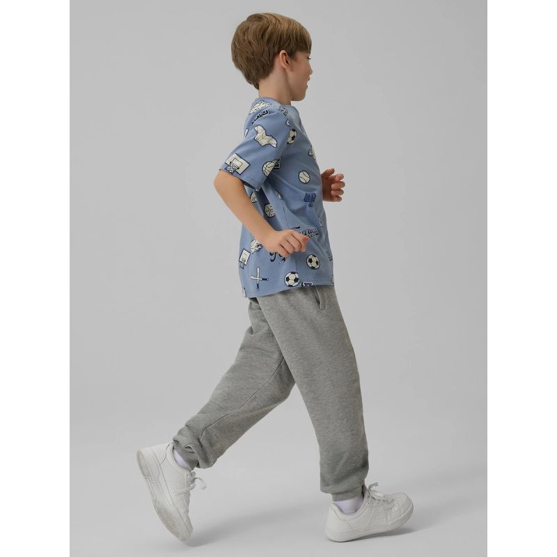 Boy's regular printed T-shirt 4F 4FJRSS26TTSHM3466-32A 4f
