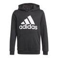 Adidas Essentials Jr GN4027 Hoodie Clothing/Lifestyle Adidas
