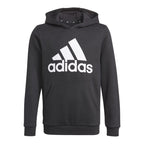 Adidas Essentials Jr GN4027 Hoodie Clothing/Lifestyle Adidas