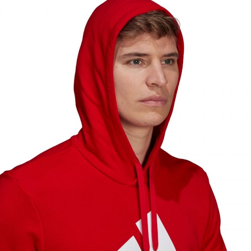 Sweatshirt adidas Essentials Big Logo M GV0249 Clothing/Lifestyle Adidas