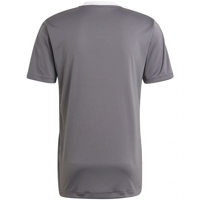 Adidas Tiro 21 Training Jersey M GM7587 Clothing/Football Adidas