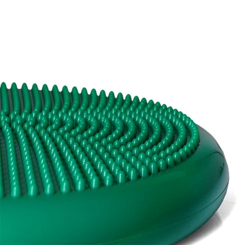 Inflatable disk PROFIT DK 2111 Accessories/Training equipment Your Sports Performance
