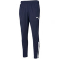 Puma teamLiga Training Pants M 657242 06 Clothing/Training Puma