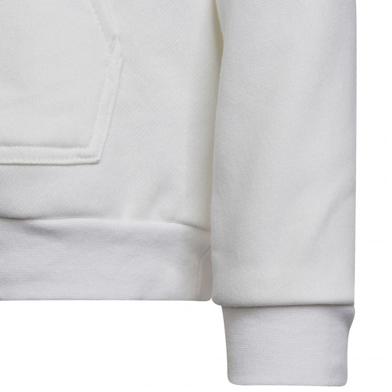 Sweatshirt adidas Entrada 22 Hoody Jr HG6303 Clothing/Football Adidas