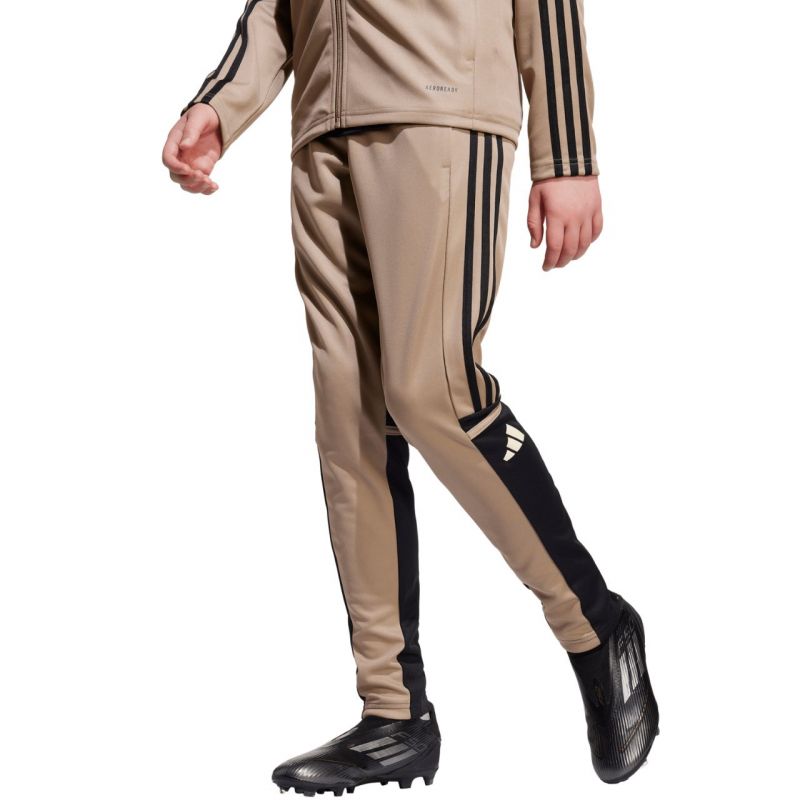 adidas Squadra 25 Training Jr Pants JP3371 Clothing/Football Adidas