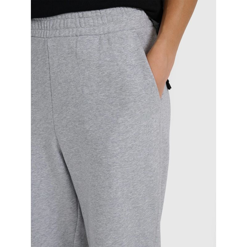 Women's jogger sweatpants 4F 4FRAW25TTROF1613-26M 4f