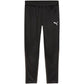 Puma Team Goal Training Pants M 658639 03 Clothing/Training Puma