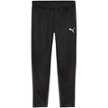 Puma Team Goal Training Pants M 658639 03 Clothing/Training Puma