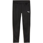 Puma Team Goal Training Pants M 658639 03 Clothing/Training Puma