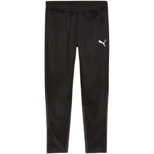 Puma Team Goal Training Pants M 658639 03 Clothing/Training Puma