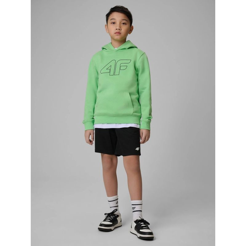 Boy's regular hooded sweatshirt 4F 4FJRSS26TSWSM2748-41S 4f