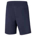 Puma teamRISE M 657336 06 shorts Clothing/Training Puma