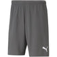 Puma teamRise Short M 704942 13 Clothing/Training Puma