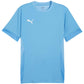 Puma teamGoal Matchday Jersey M 705747 18 Clothing/Football Your Sports Performance