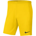 Nike Dry Park III NB K Men's Shorts Yellow BV6855 718