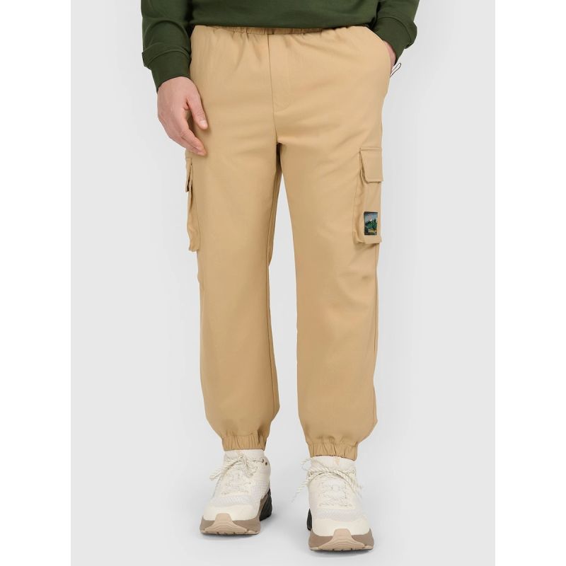 Men's casual cargo pants 4F 4FRAW25TTROM1690-83S 4f