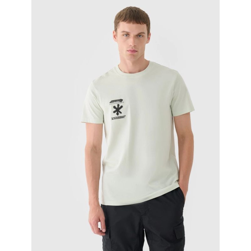 Men's regular printed T-shirt 4F 4FRAW24TTSHM2603-47S 4f