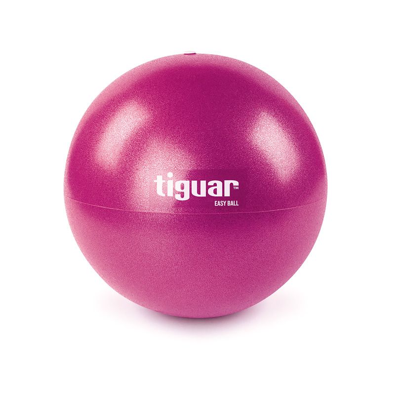 Tiguar easyball gym ball TI-PEB025 Accessories/Training equipment Your Sports Performance