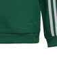 Adidas Tiro 19 Presentation Jacket Junior DW4790 football sweatshirt Clothing/Football Adidas