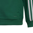 Adidas Tiro 19 Presentation Jacket Junior DW4790 football sweatshirt Clothing/Football Adidas