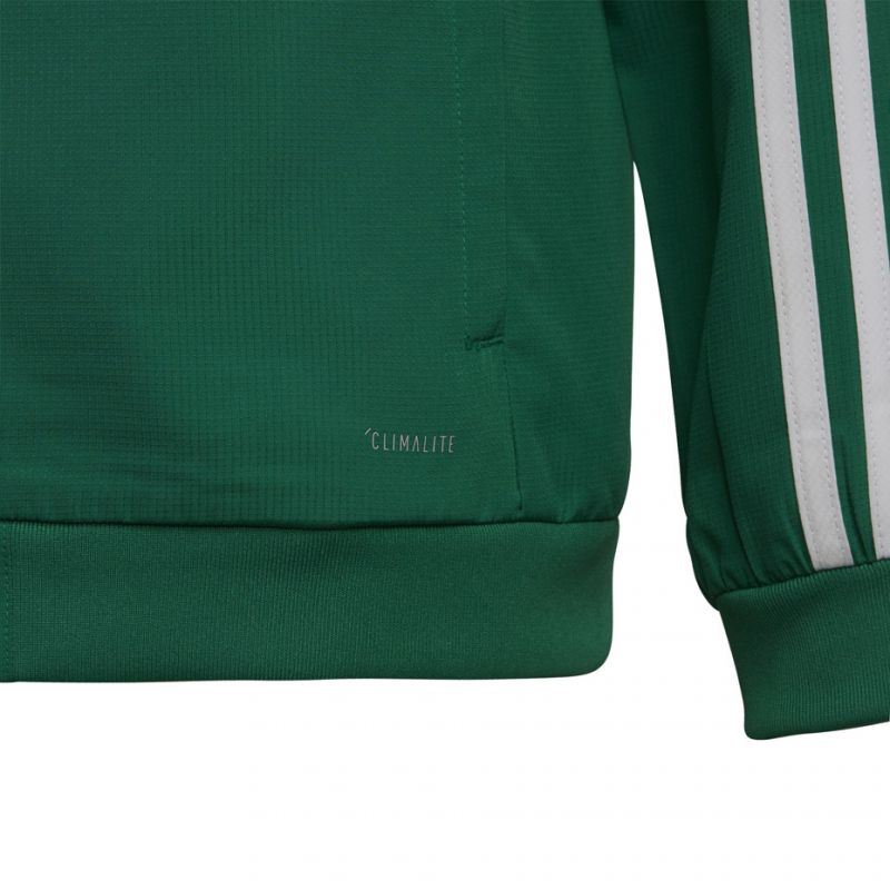 Adidas Tiro 19 Presentation Jacket Junior DW4790 football sweatshirt Clothing/Football Adidas
