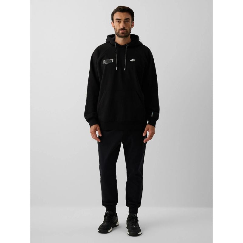 Men's jogger sweatpants 4F 4FRAW26TTROM2175-20S
