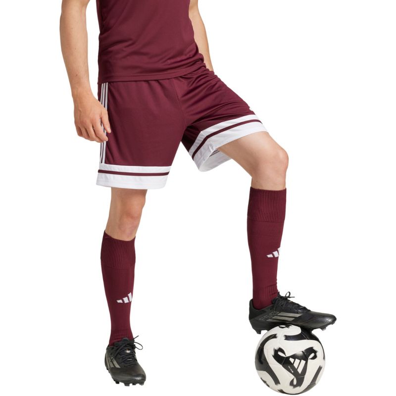 Shorts adidas Squadra 25 M JC8677 Clothing/Football Adidas
