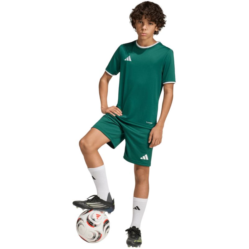 adidas Entrada 26 Kids' Shorts Green KE9831