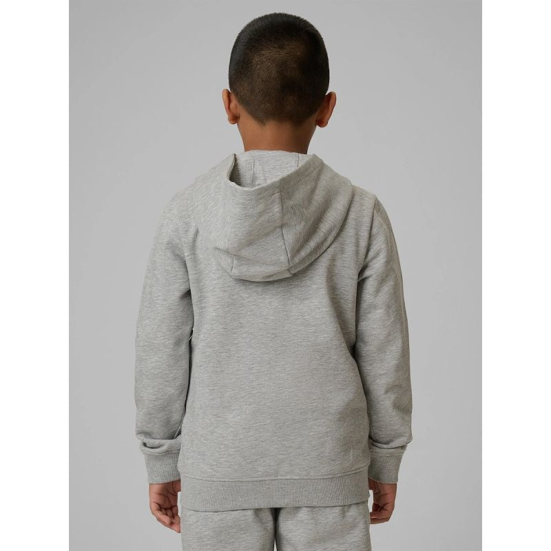 Boy's regular hooded sweatshirt 4F 4FJRMM00TSWSM2747-25M