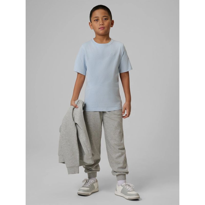 Boys' jogger sweatpants 4F 4FJRMM00TTROM1823-25M 4f