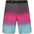 PROTEST ORION Men's Boardshorts