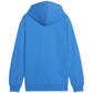 Puma Team Goal Casuals Hoddy Jr sweatshirt 658619 02 Clothing/Training Puma