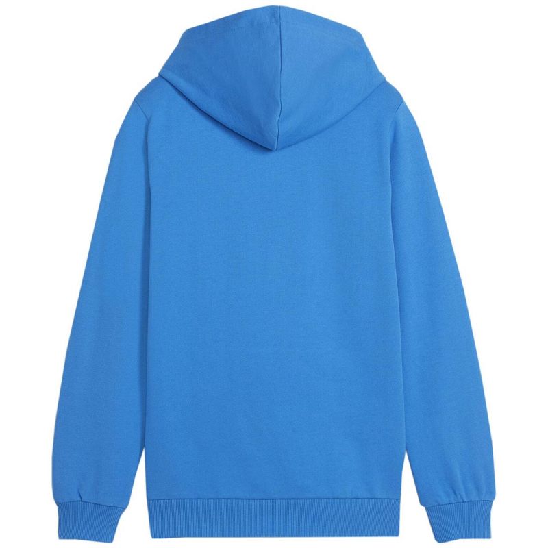 Puma Team Goal Casuals Hoddy Jr sweatshirt 658619 02 Clothing/Training Puma