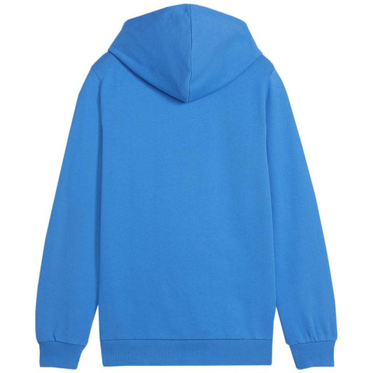 Puma Team Goal Casuals Hoddy Jr sweatshirt 658619 02 Clothing/Training Puma