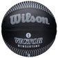 Wilson NBA Player Icon Victor Wembanyama Outdoor Ball WZ3017801XB Accessories/Balls/Basketball Your Sports Performance