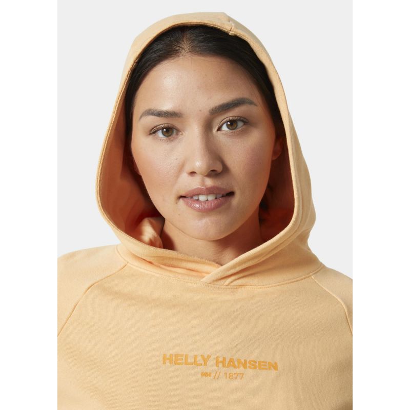 Helly Hansen sweatshirt with hood W Core Hoodie W 54033 316 Clothing/Outdoor/Helly Hansen Your Sports Performance
