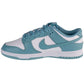 Nike Dunk Low Retro M DV0833-106 shoes Footwear/Lifestyle/Nike Nike