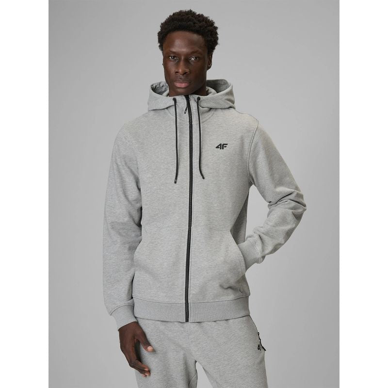 Men's regular hooded sweatshirt 4F 4FRMM00TSWSM3058-27M 4f