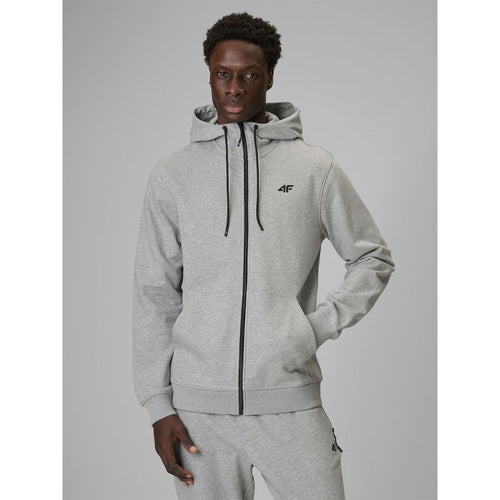 Men's regular hooded sweatshirt 4F 4FRMM00TSWSM3058-27M 4f